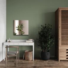 Kleine spiegel voor in de woonkamer